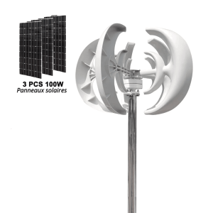  Éolienne portable verticale 12V/1000WES